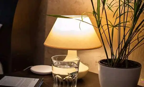 Best light bulb for reading in bed
